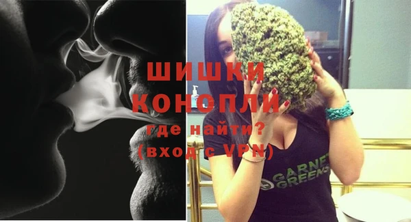 спиды Няндома