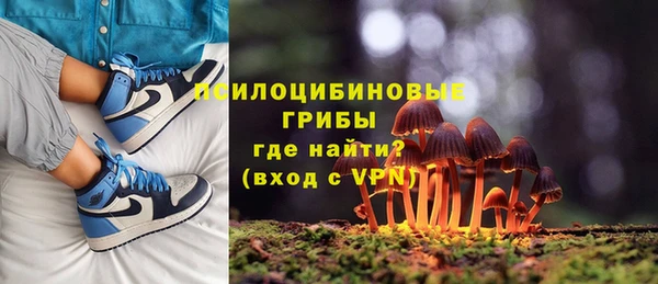 спиды Няндома