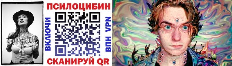 Псилоцибиновые грибы Psilocybine cubensis  Трубчевск 